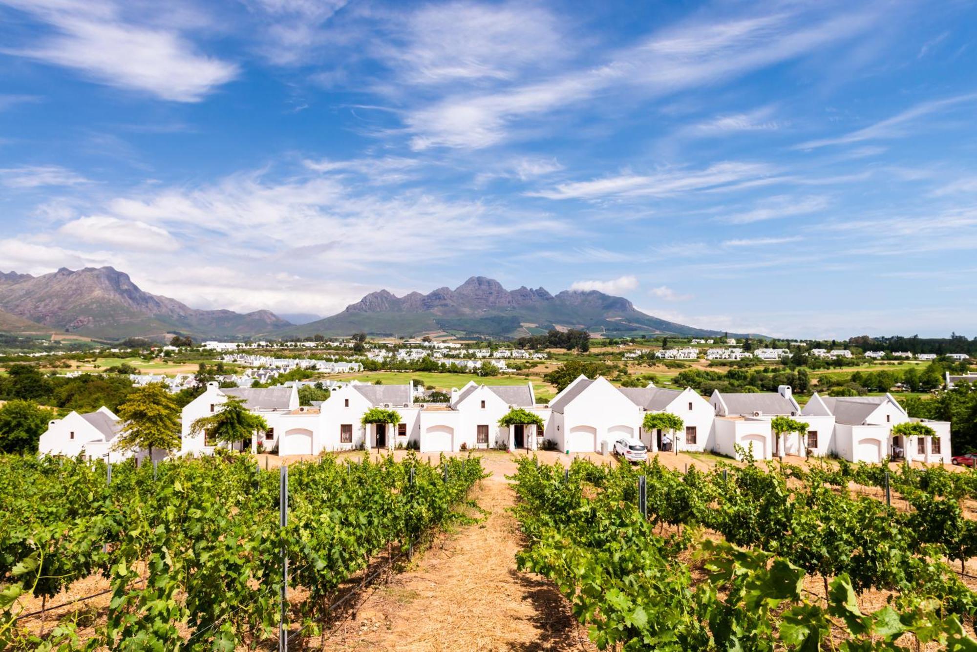 De Zalze Lodge Στέλενμπος Εξωτερικό φωτογραφία