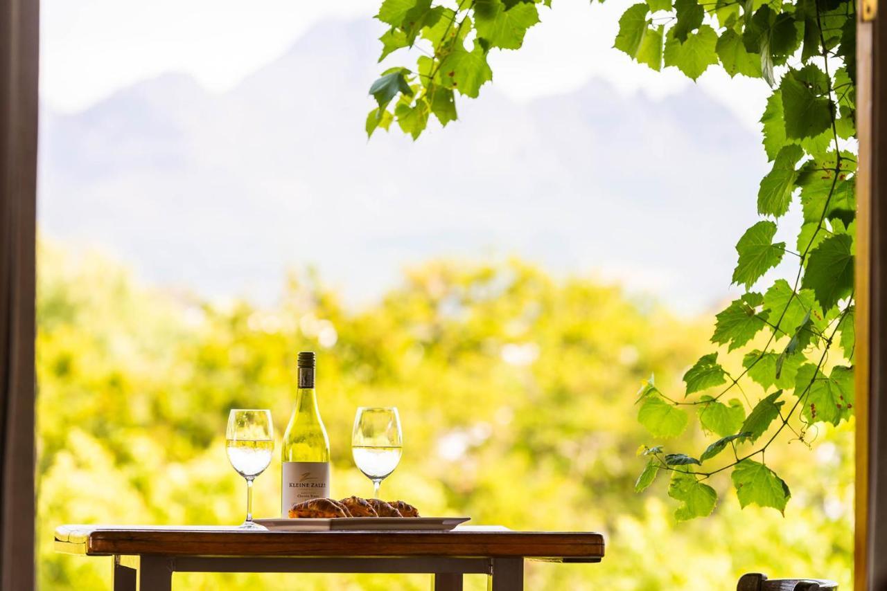 De Zalze Lodge Στέλενμπος Εξωτερικό φωτογραφία